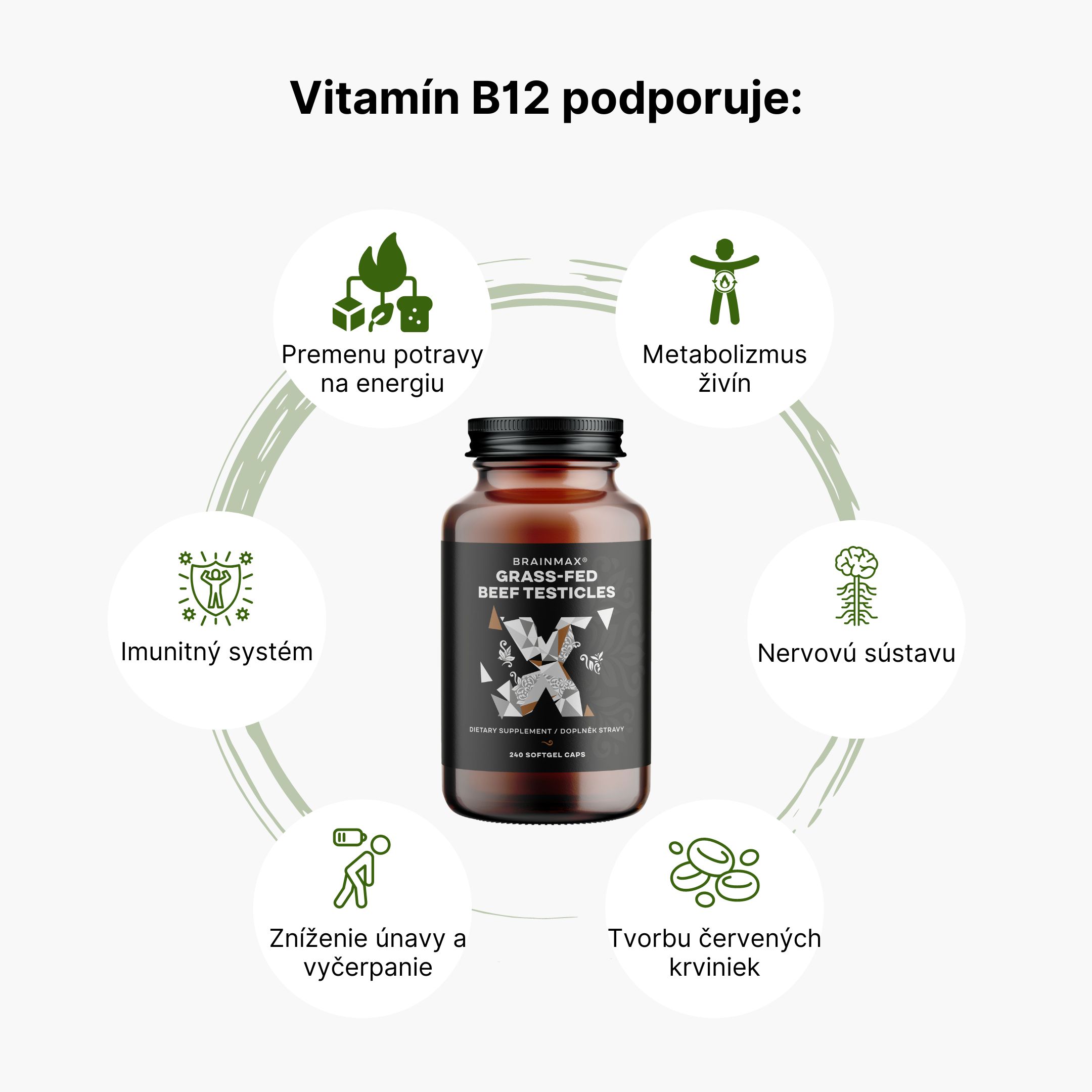 (Slovenčina) Vitamín B12 (1)